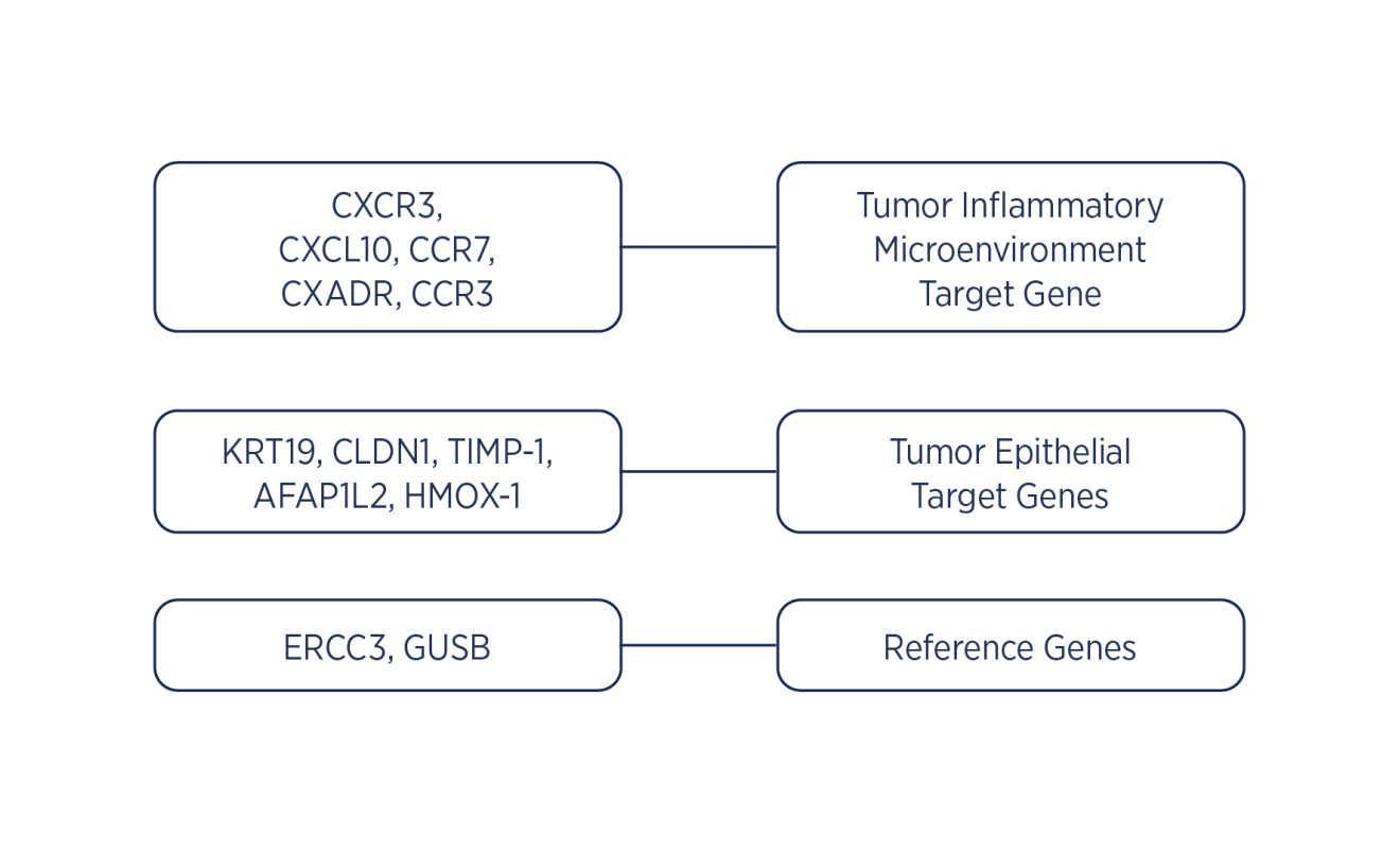 TP a new gene signature