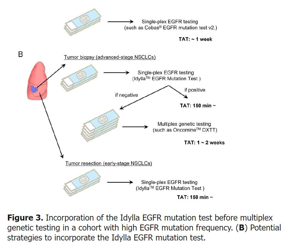 figure_3b_with_footnote.jpg