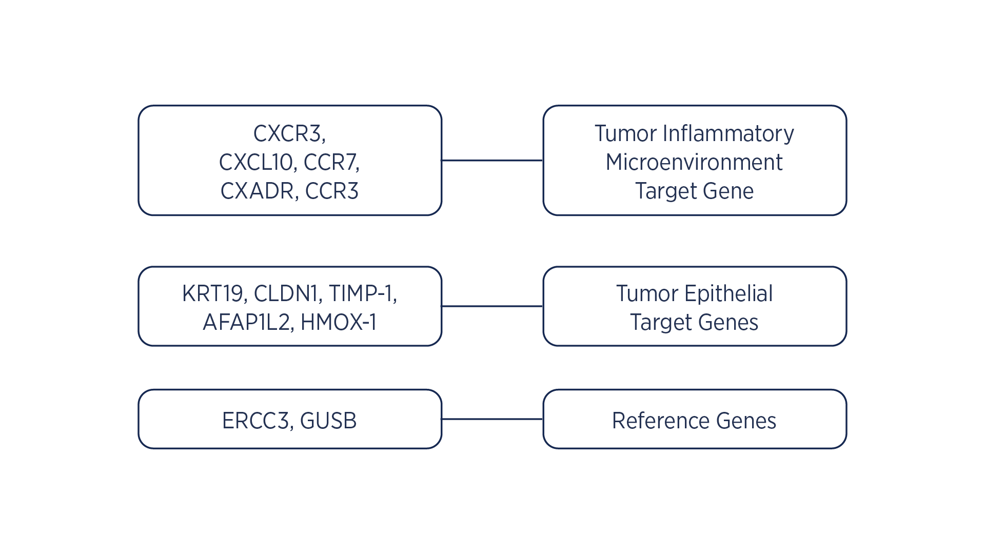 TP a new gene signature