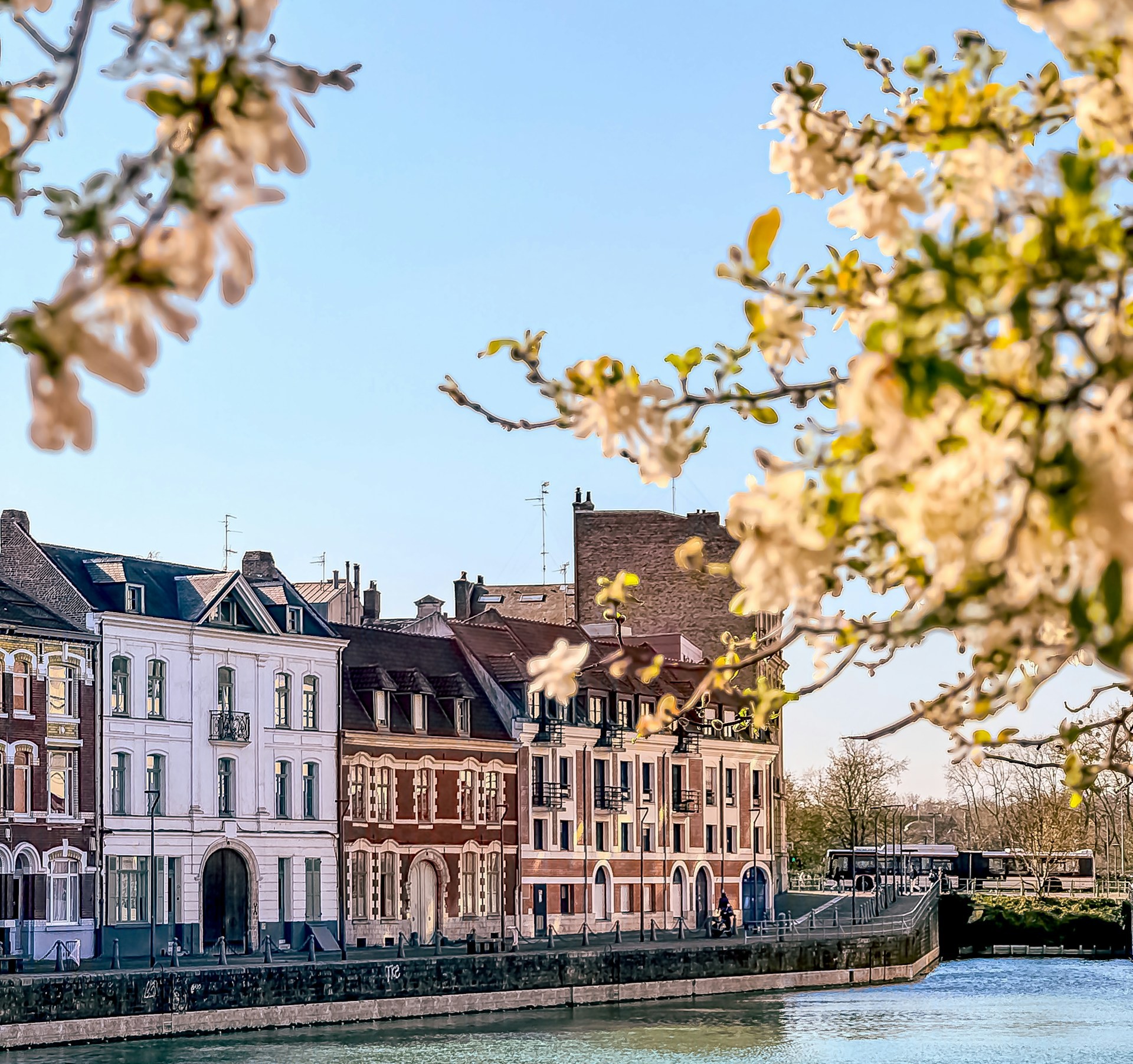 france_lille.jpg